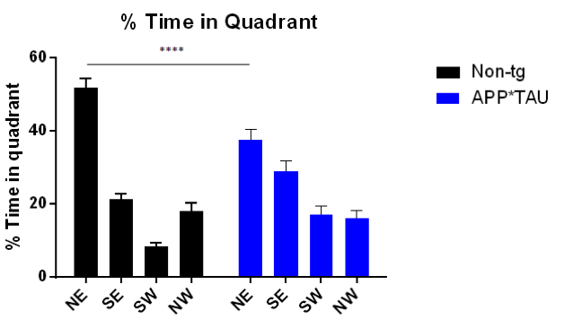 Quadrant analysis during the probe trial, Morris Water Maze with 9 months