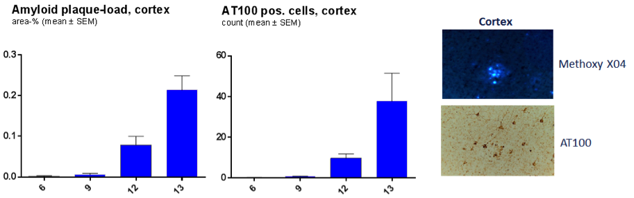 Quantified Methoxy-X04 and AT100 (pTAU S212/T214)